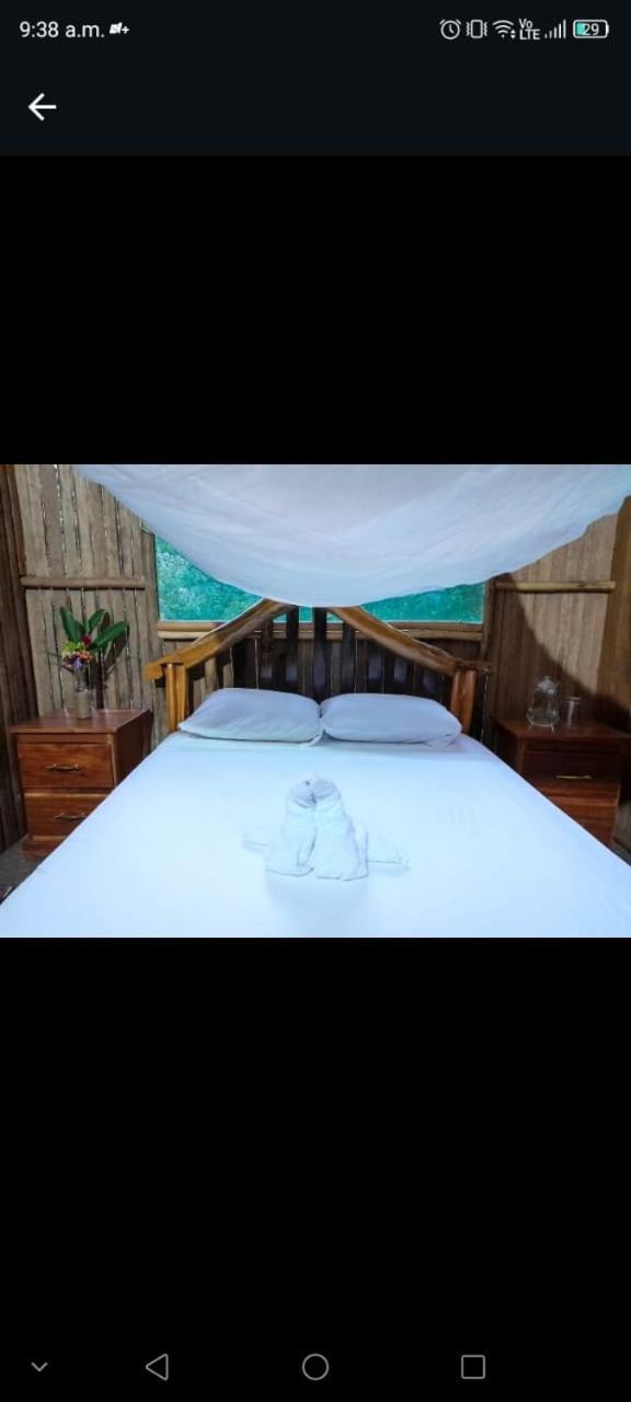Castana Amazon Park Hostel Puerto Maldonado Luaran gambar