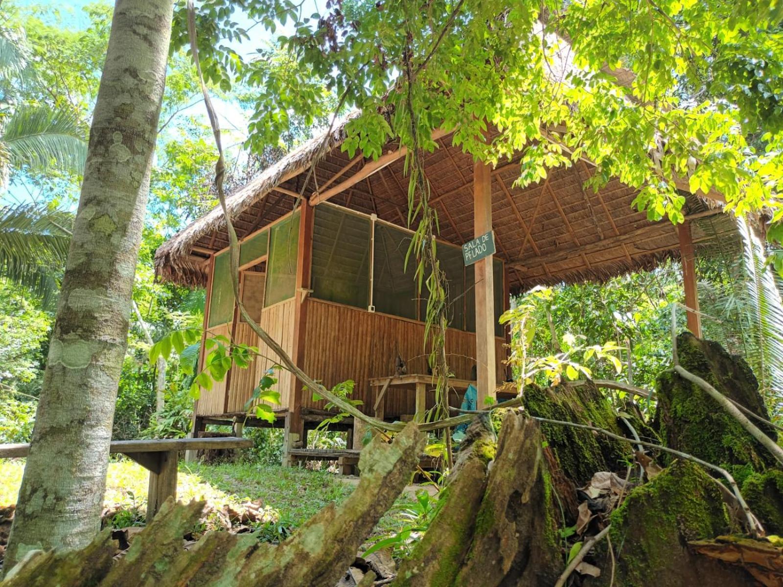 Castana Amazon Park Hostel Puerto Maldonado Luaran gambar