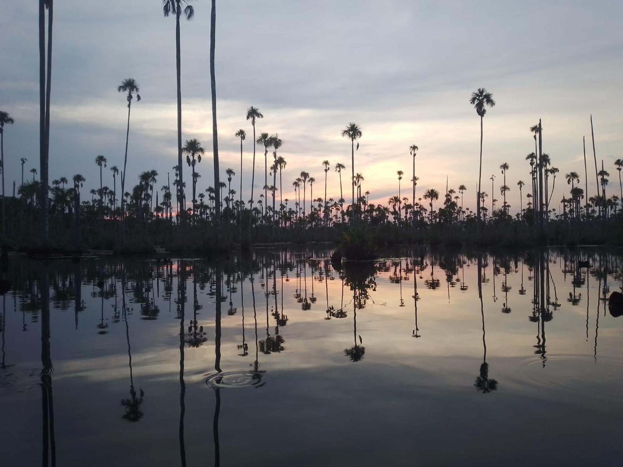Castana Amazon Park Hostel Puerto Maldonado Luaran gambar