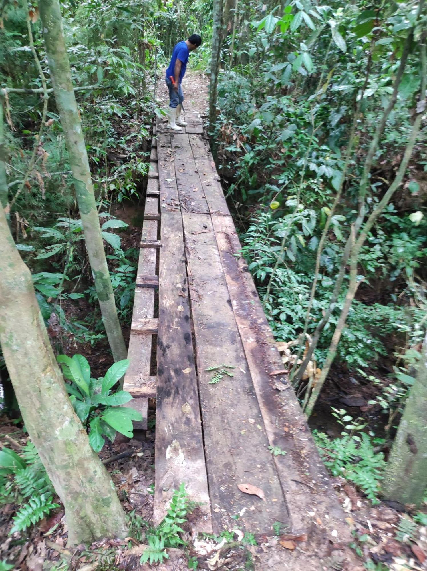 Castana Amazon Park Hostel Puerto Maldonado Luaran gambar
