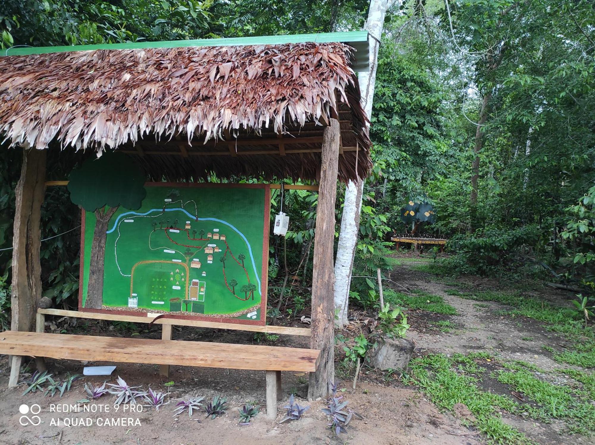 Castana Amazon Park Hostel Puerto Maldonado Luaran gambar